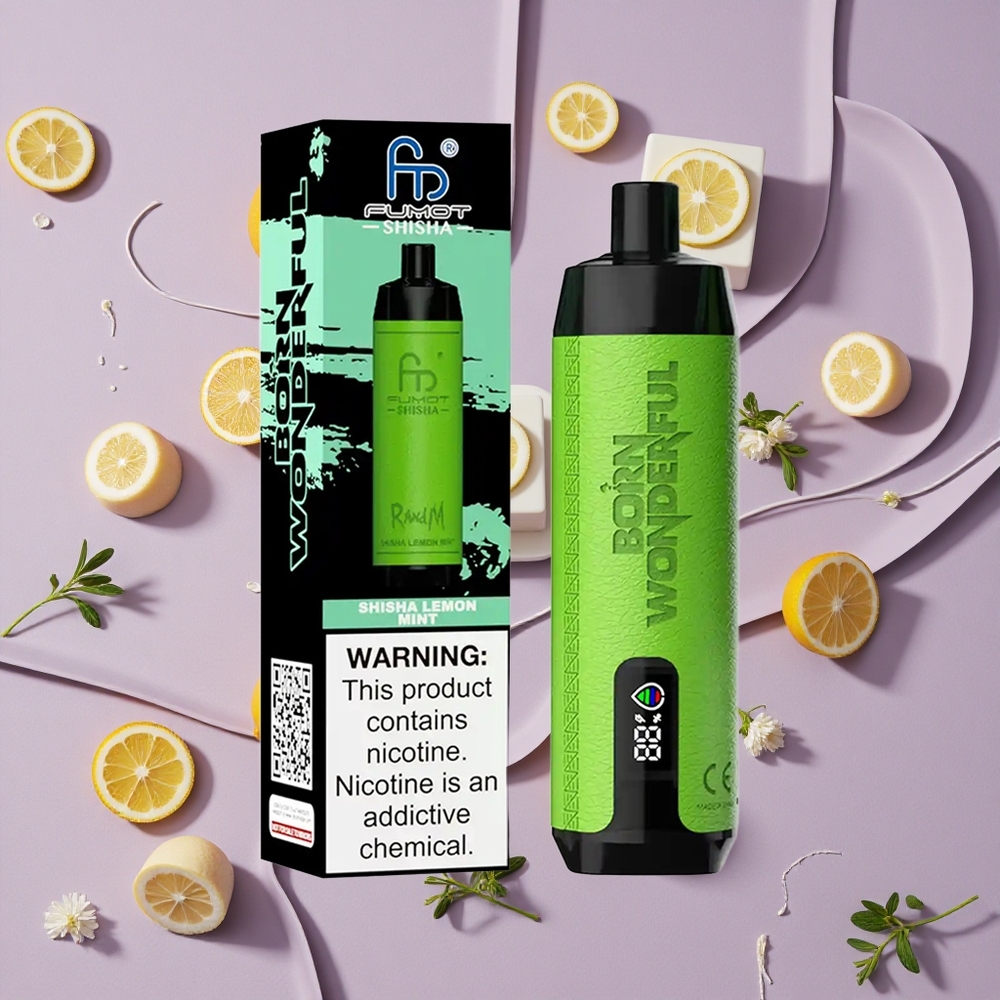 Lemon Mint RandM Fumot Shisha 10000 Puffs Disposable Vape with Type-C Port New Zealand wholesalers